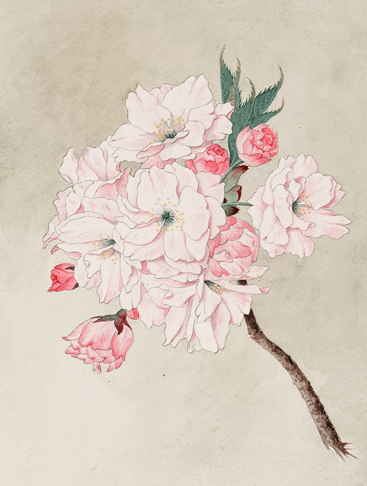 Kuva: Library of Congress on Unsplash