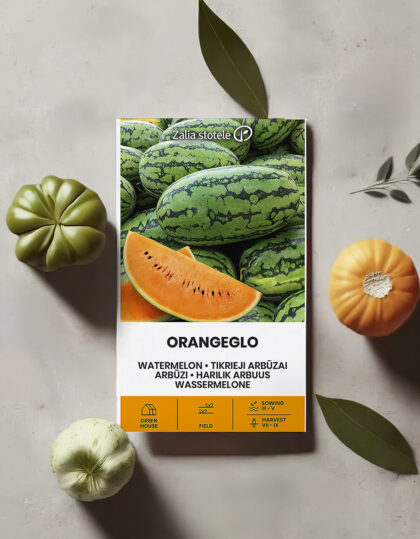 Vesimeloni - Orangeglo siemenet