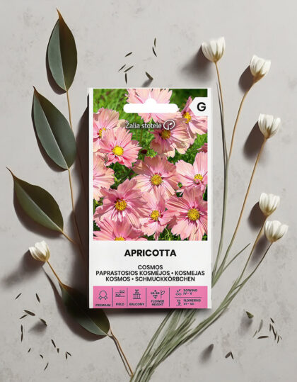 Kosmos - Apricotta-siemenet