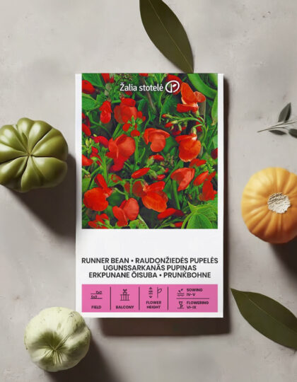 Kirkkaanpunainen kukkapapu