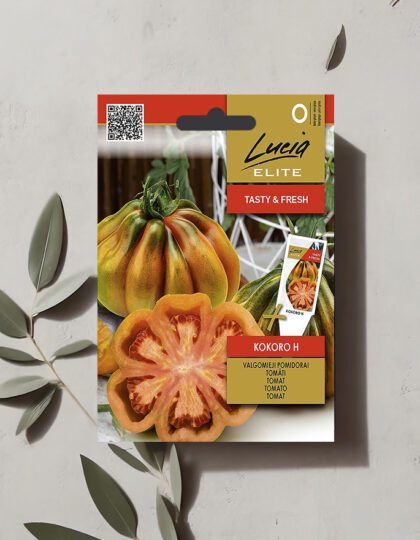 Tomaatin "Kokoro H" siemenet