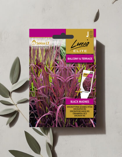 Musta hulluus" koristeellinen kolmio