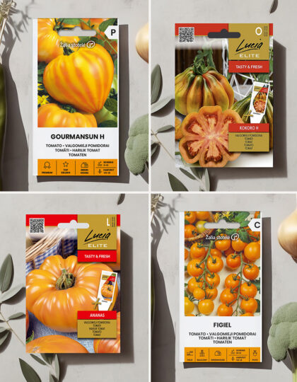 joukko tomaatteja, joissa on p2icels