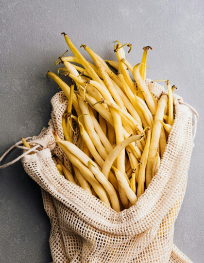 Pensaspavun siemenet "Gondola"