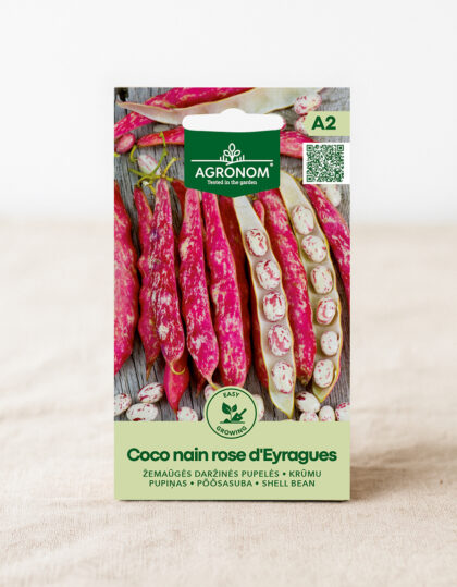 Pensaspavun siemenet