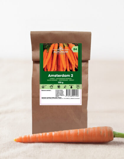 Porkkanan siemenet 'Amsterdam 2' (100 g)