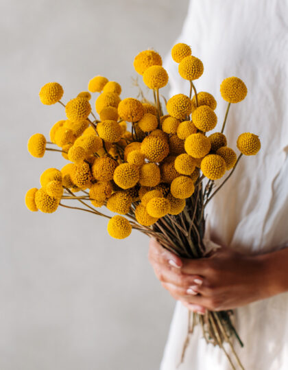 Billy Buttons kylvetty