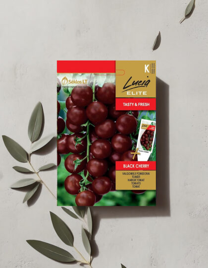 Tomaatti ‘Black Beauty’