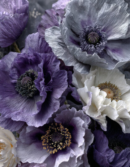 harmaata unikon siemeniä