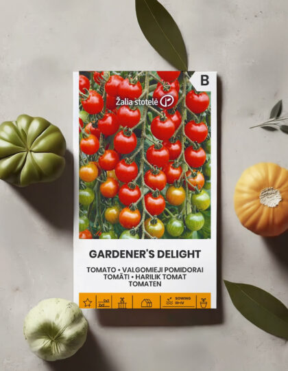 Kobartomati kylvösiemen 'Gardener's Delight' (Puutarhurin ilo)