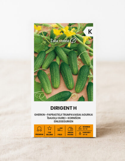 Marinoitavan kurkun siemenet 'Conductor H'