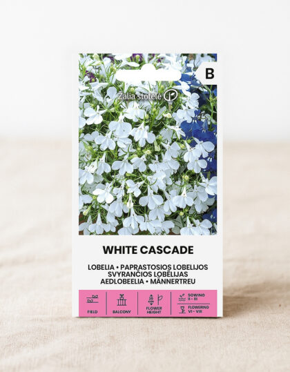 valkoinen lobelia
