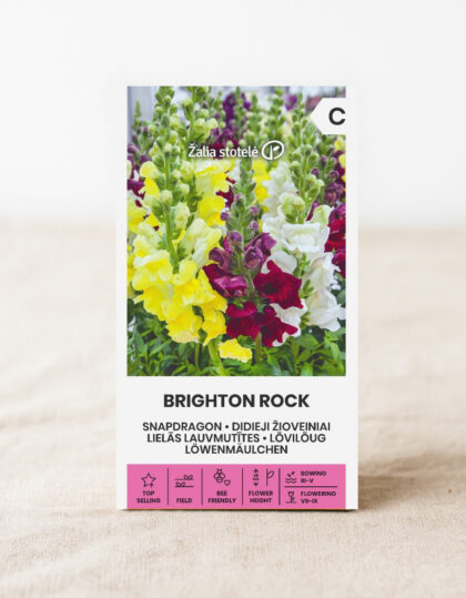 Lohimarjan siemenet 'Brighton Rock'