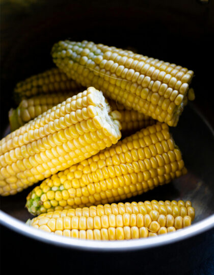 makean maissin siemenet