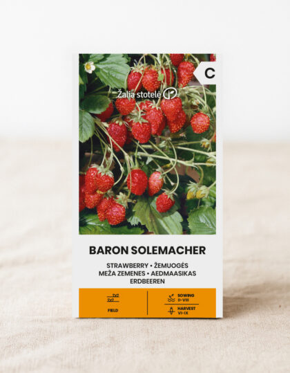 luonnonvaraisen mansikan siemenet