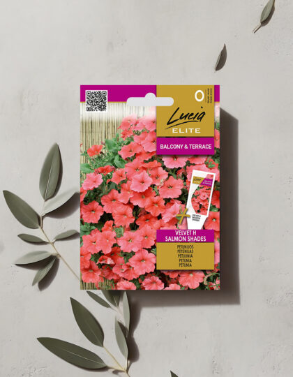 Petunia 'Velvet H Salmon Shades' siemenet