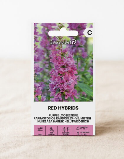 Wild Cocksfoot siemenet "Red Hybrids"