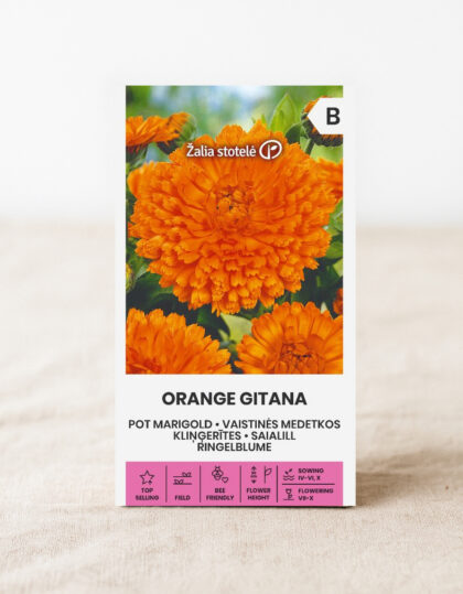 Saialillan siemenet 'Orange Gitana'