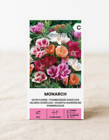 Sidilillan siemenet 'Monarch'