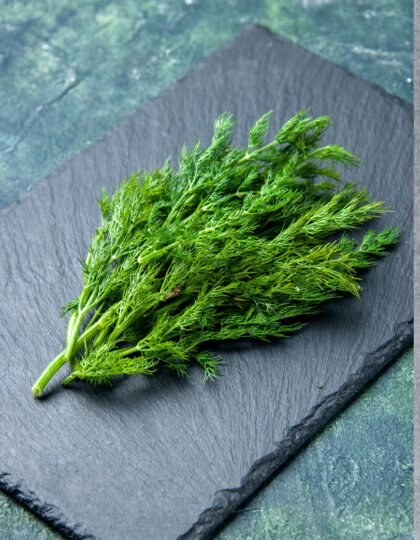 Tillin siemenet 'Common'