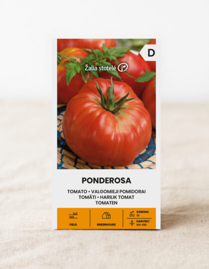 Tomaatin siemenet 'Ponderosa'