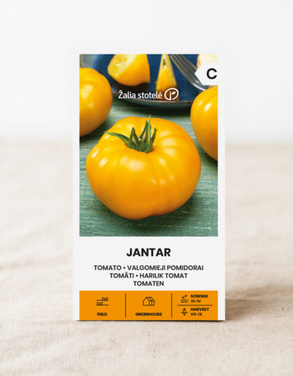 Keltaisen tomaatin "Jantar" siemenet