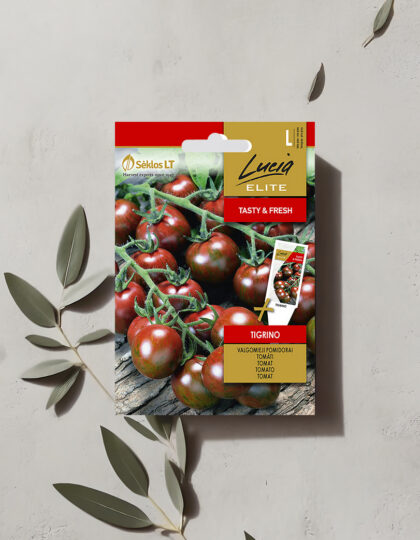 Tomaatin siemenet 'Tigrino'