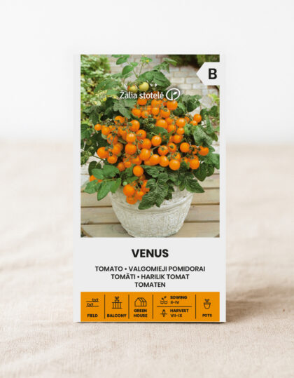 Kirsikkatomaatin siemenet 'Venus'