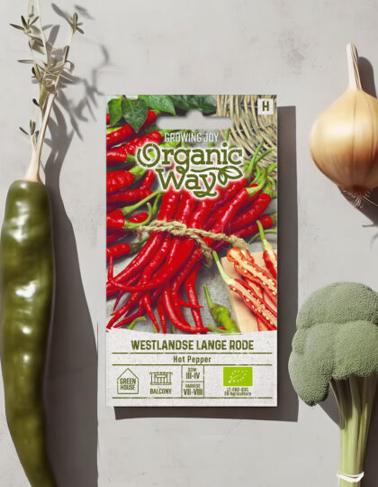 Luomu chilipaprikan siemenet 'Westlandse Lange Rode'