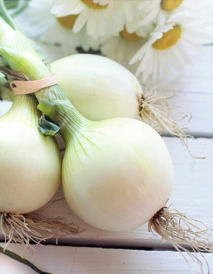 valkoisen sipulin siemenet