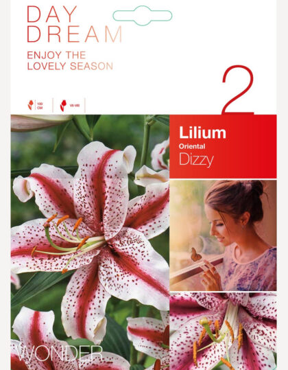 laaksonliljat sipulit