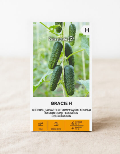 itsetyynyttävä kurkku