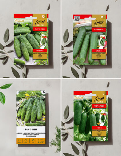 itsepuhdistuvat kurkut