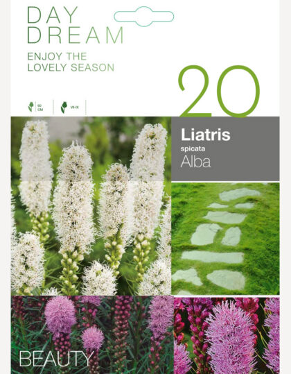 liatris mix