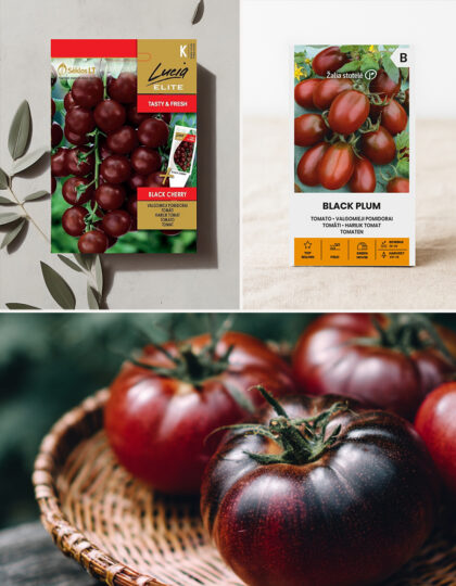 Mustien tomaattien sarja