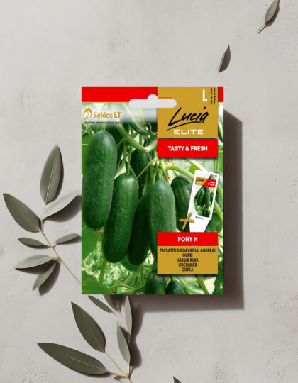 Isetolmlevin kurkku ‘Pony H’