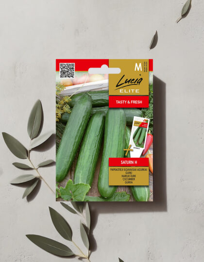 Isetolmlevin kurkku ‘Saturn H’