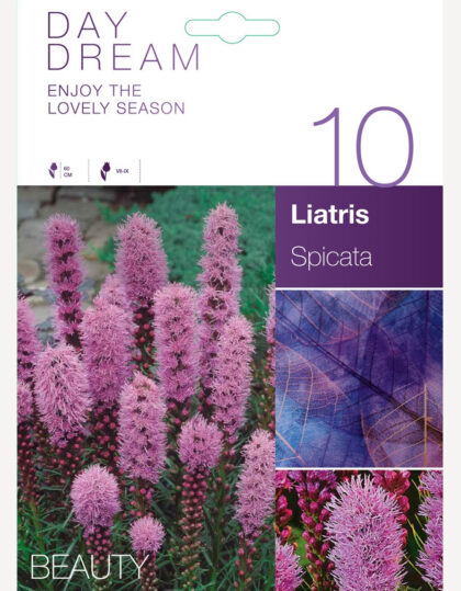 Täplikäs Liatris 'Spicata'