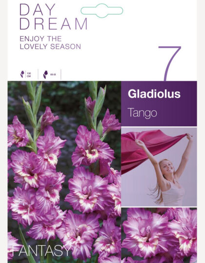 Gladiolien sipulit ‘Tango’