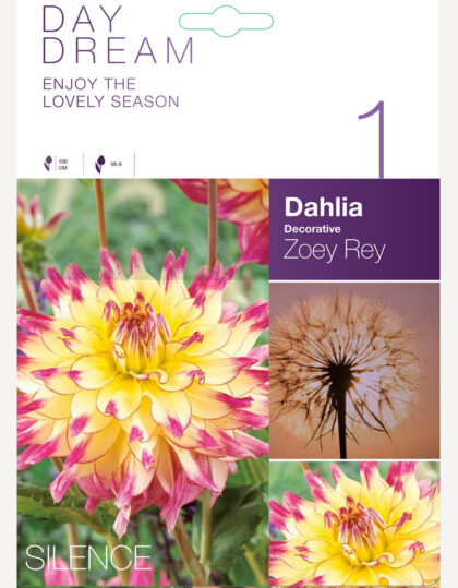 Daalia ‘Zoey Rey’