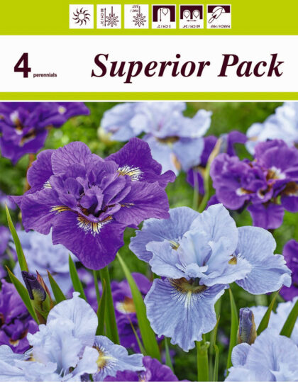 siperian iiris sekoitus