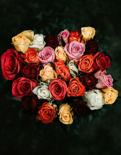 Ruusu ja kuplapallo (mix)