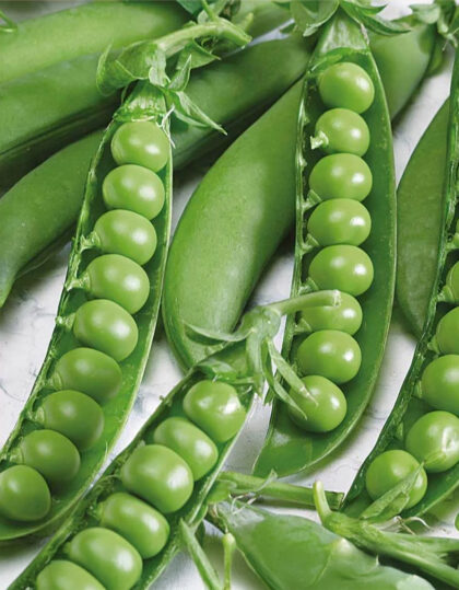 Aedhernes ‘Avola’ - 20 g