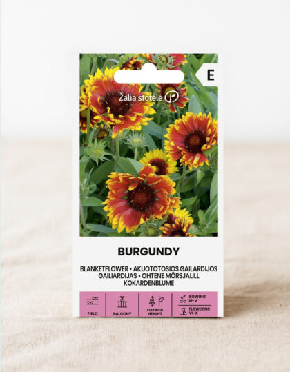 Kulkeva kehäkukka ‘Burgundy’