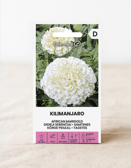 valkoinen syreeni tekeminen