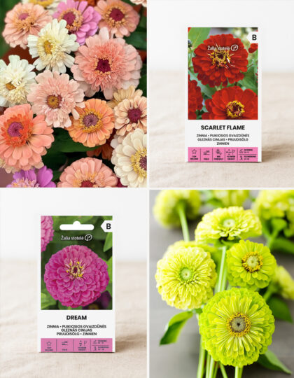 Panimo-oluiden sarja - 4 lajiketta