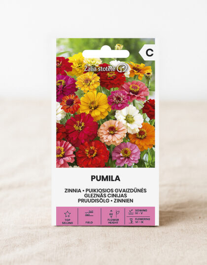 Luudanvarsi ‘Pumila’