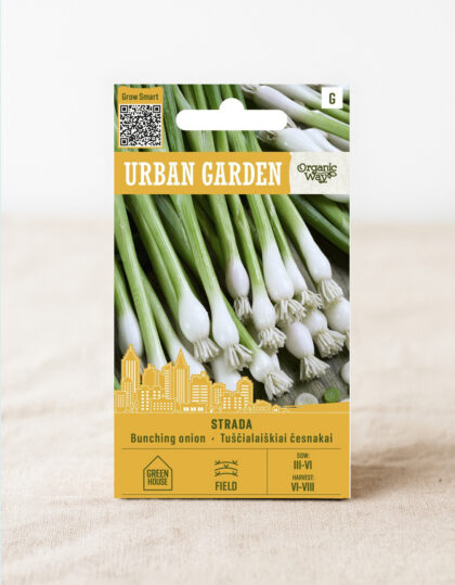 Talisibul ‘Strada’