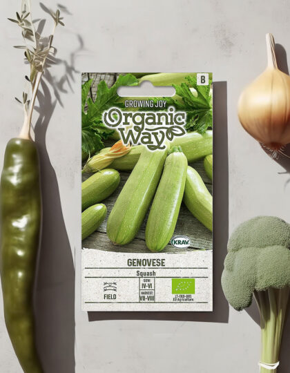 Kesäkurpitsa ‘Genovese’ - ekologinen