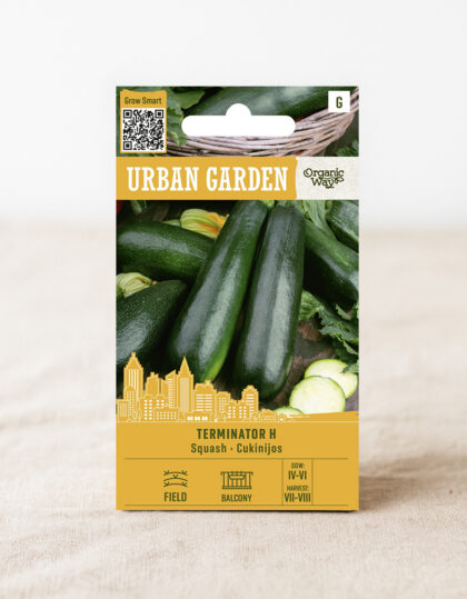 kesäkurpitsan siemenet